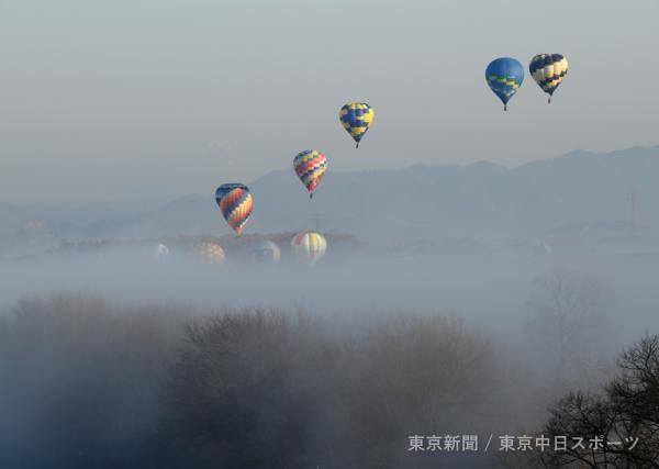 Z-093　渡良瀬遊水地の熱気球（栃木県栃木市）